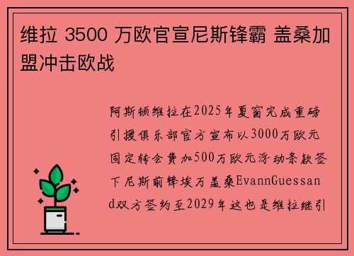 维拉 3500 万欧官宣尼斯锋霸 盖桑加盟冲击欧战